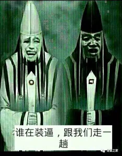 荷兰猪外出郊游,操心的事太多,其实只要做到这几点就可以了