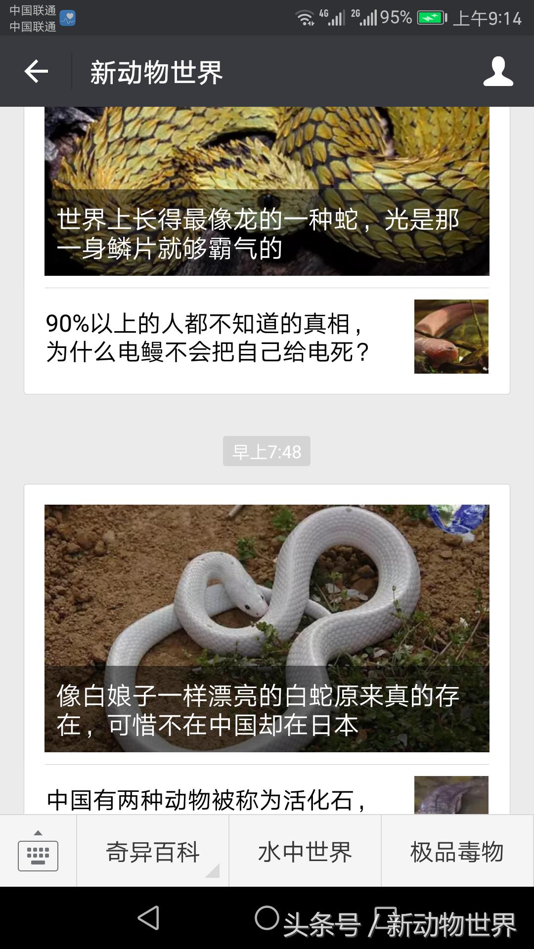 章鱼八爪鱼鱿鱼墨鱼乌贼怎么区分,吃货们知道鱿鱼章鱼乌贼的区别吗