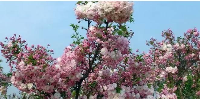 吃鲟鱼、泡温泉、赏美景、玩陶艺···完美周末就这么简单！