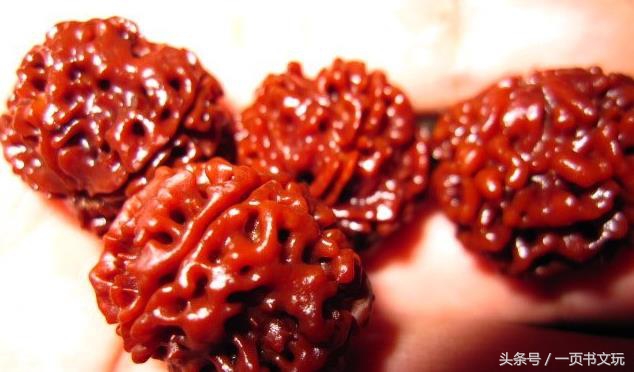 金刚菩提多盘好还是多刷好,金刚菩提要如何盘刷