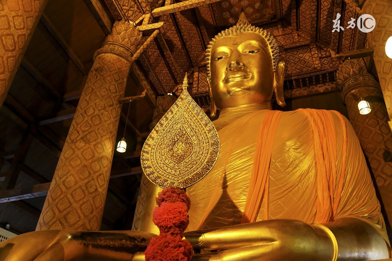 聪明又不露大智慧的三大生肖,聪明又傻的3大生肖