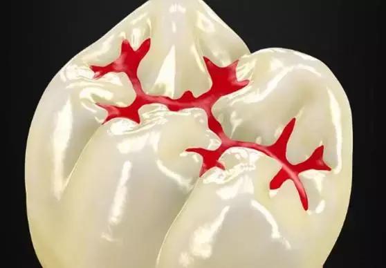 儿童7龄牙龋坏的最佳处理方案,7岁女孩牙齿都是坏的怎么办