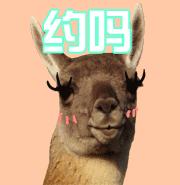 孟非的小面麻辣面,孟非的小面重庆特色