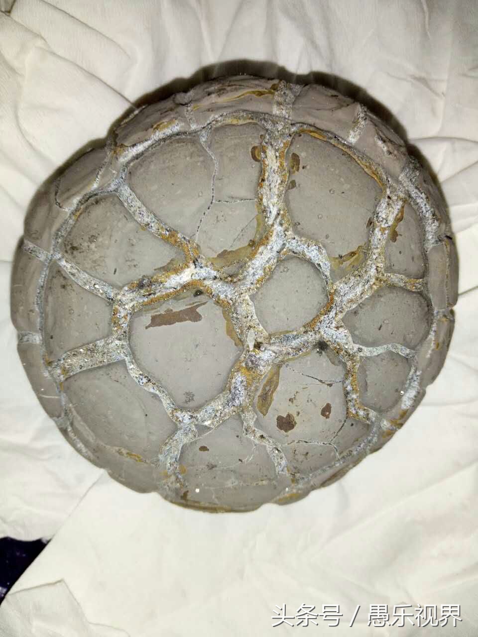 湖南常见岩石标本,像乌龟一样的石头值钱吗