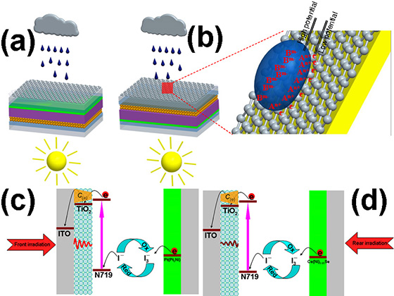 中国海洋大学科研,中国海洋大学最新成果