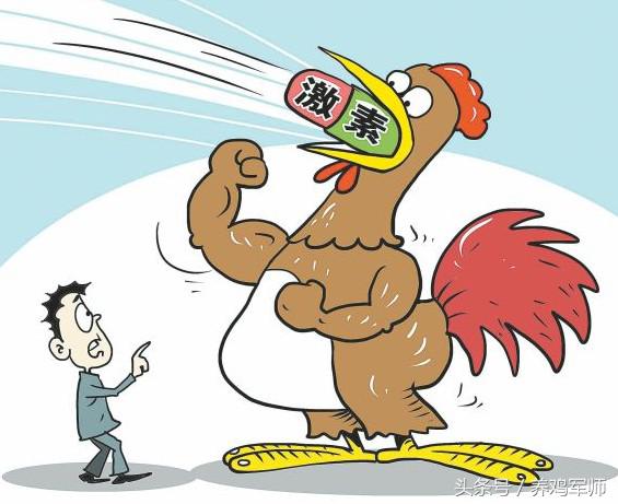 看养鸡的,现在市场上的肉鸡能吃吗