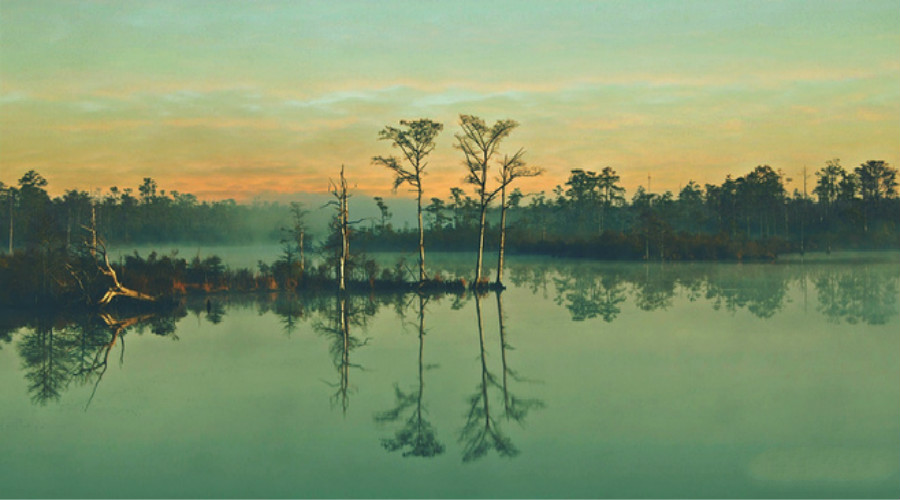 强迫症如何自我疗愈,强迫症的自我治疗方法