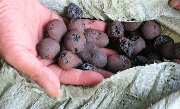 「家装日记」游走于北欧日式珥本之间的随性装修，让内装融入生活