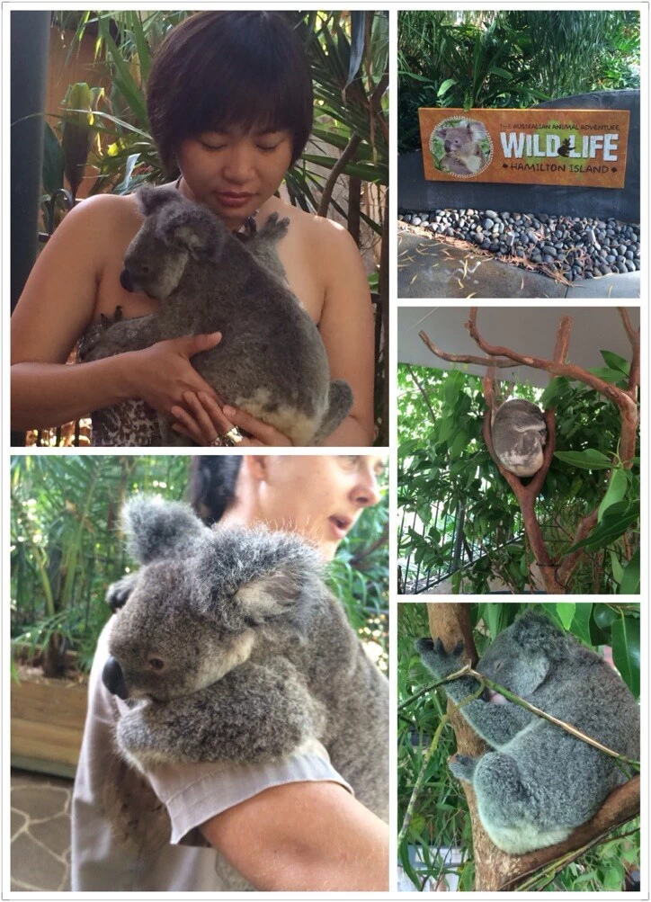 澳洲十日自助游推荐,澳洲10日自由行攻略