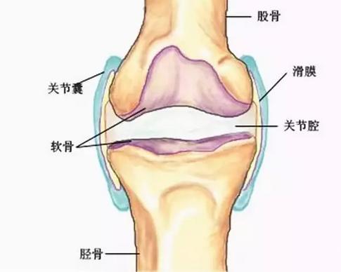乍暖还寒注意预防感冒,乍暖还寒谨防感冒