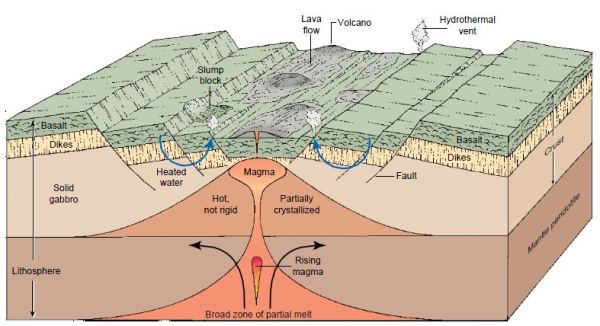 海和洋哪个深,海和洋是如何分界的