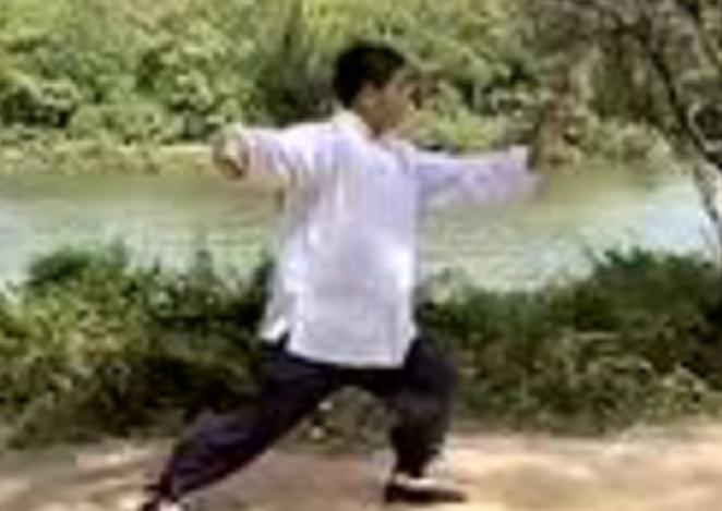 杨式85式太极拳单鞭分几步,杨式85式太极拳单鞭的攻防含义