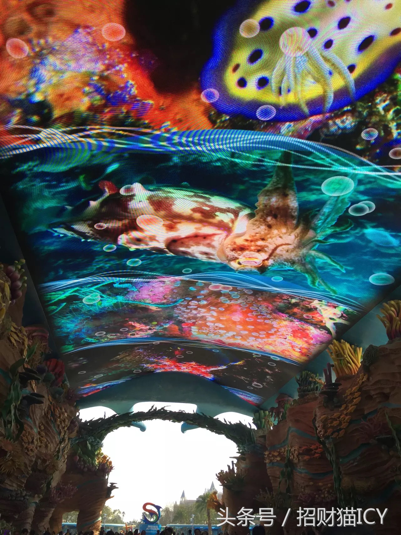 珠海长隆奇幻之旅,广州珠海长隆两天一夜攻略