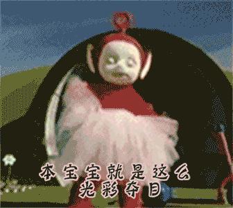 荷兰猪外出郊游,操心的事太多,其实只要做到这几点就可以了