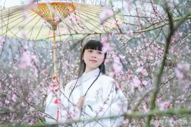 龙岩赏花景点,龙岩的花海