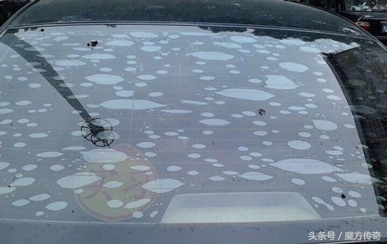 怎么才能贴到正品太阳膜,自己贴膜太阳膜怎么选