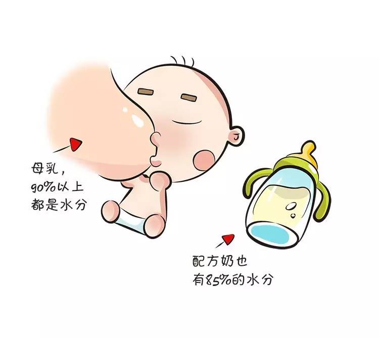 宝宝6个月内绝对不能喝水,为什么六个月以内的宝宝不让喝水