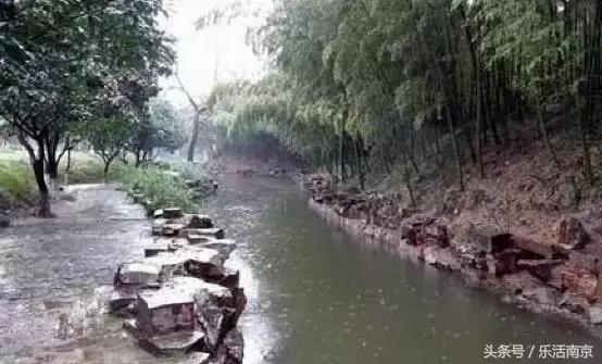 南京免费公园免费开放日一览表,南京最大的公园排名