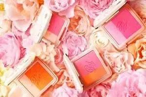 ins腮红合集,年度腮红合集