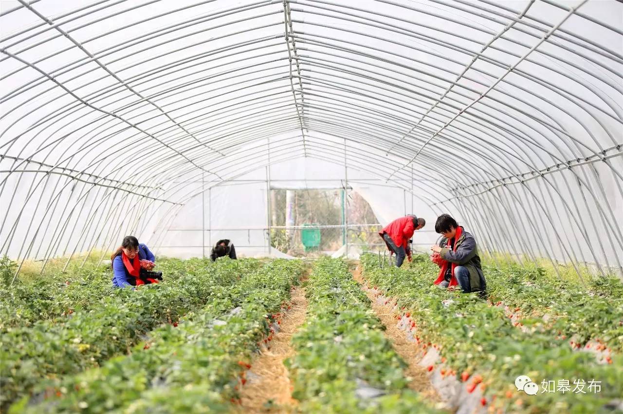 定了!从今天起,如皋白蒲古镇将列入每个人的旅行清单!