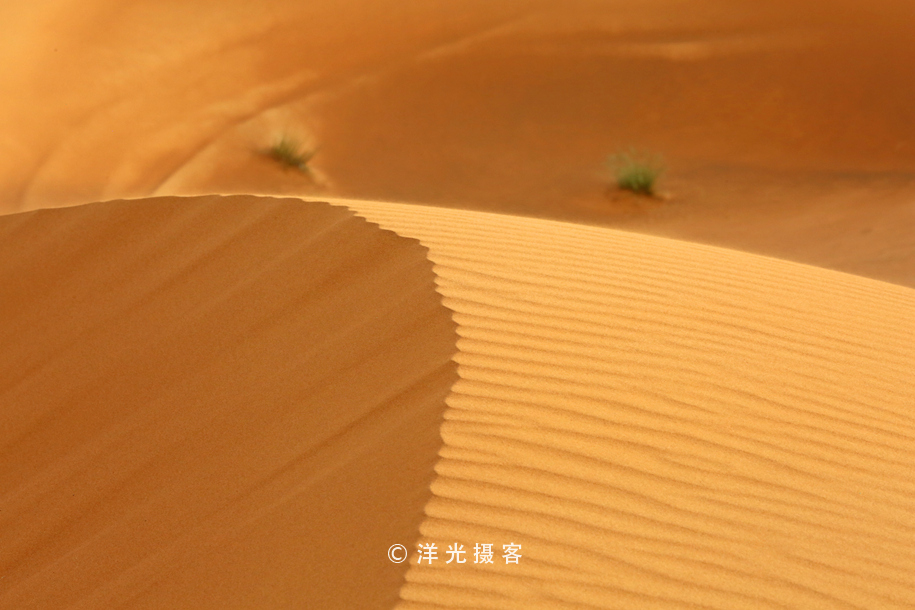 迪拜冲沙是玩什么,迪拜冲沙一点不刺激