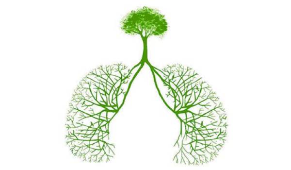 养肺经常拍打两个地方肺好,肺不好有什么症状该如何养肺