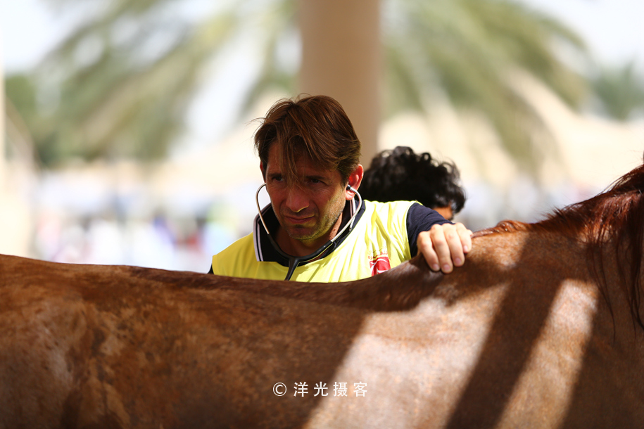 为什么迪拜土豪最有钱,真正的迪拜土豪