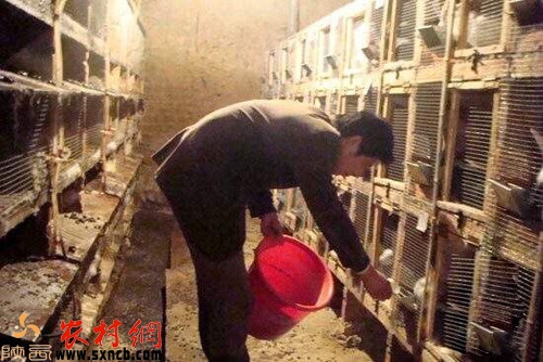 农村致富有哪些门路,农村致富门路有哪些