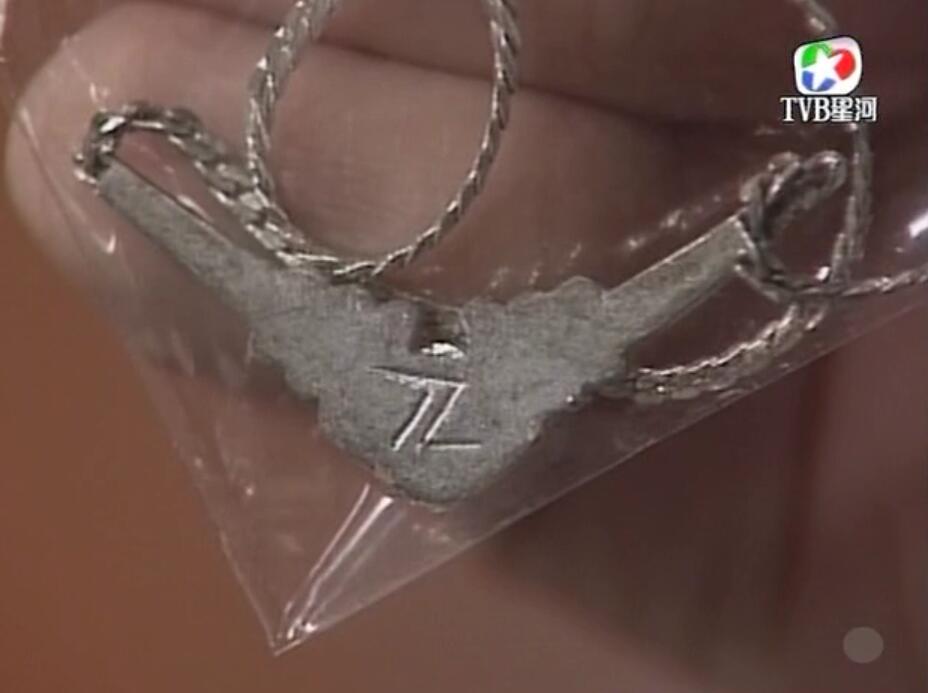 刑事侦缉档案袁天丽马成昌第五集,刑事侦缉档案袁天丽