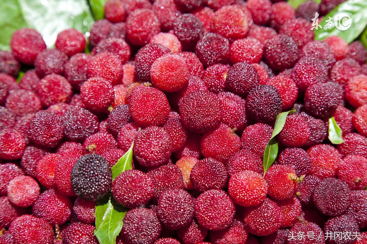 寻味江西,寻味江西完整版万安