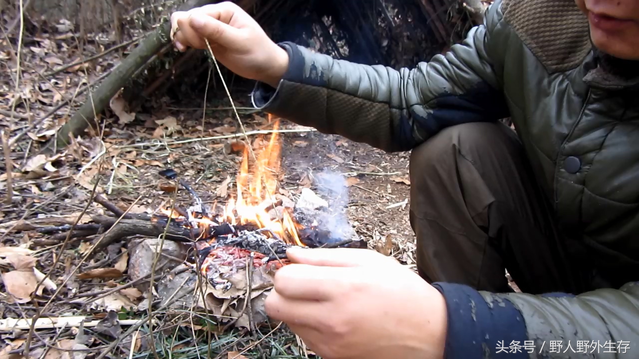 狩猎陷阱小视频,狩猎陷阱可以抓啥
