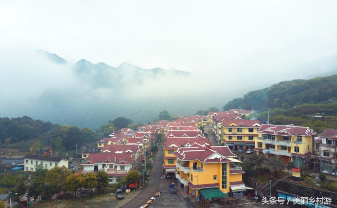 美丽乡村森林图片,洋畲村乡村旅游景点