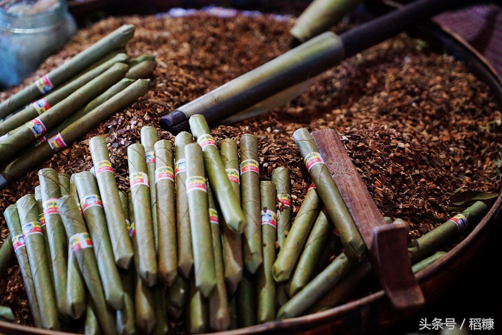 用逃遁的方法，探索“亚洲的隐士”