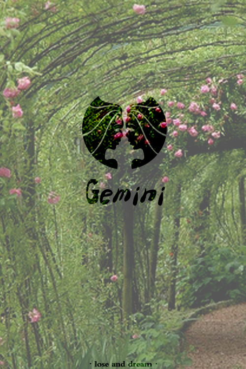 十二星座壁纸图片高清手机,十二星座高清动态触摸壁纸下载