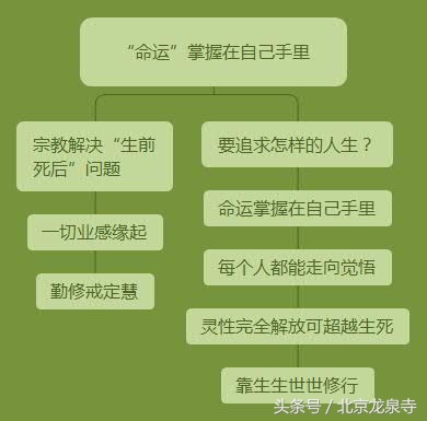 佛法和人性,佛法人类命运共同体
