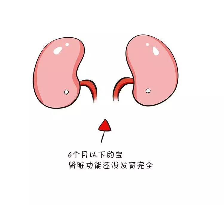 宝宝6个月内绝对不能喝水,为什么六个月以内的宝宝不让喝水