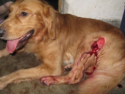 灵魂交换后的生活,灵魂交换的经历