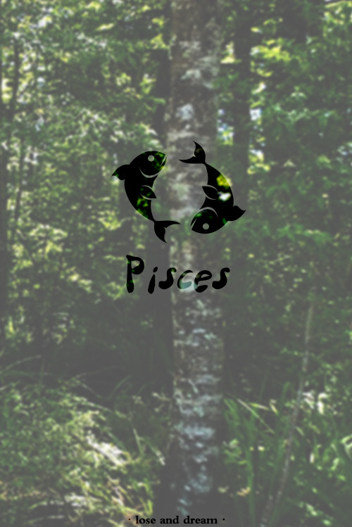 十二星座古风壁纸双鱼座最漂亮,哆啦a梦手机壁纸高清十二星座