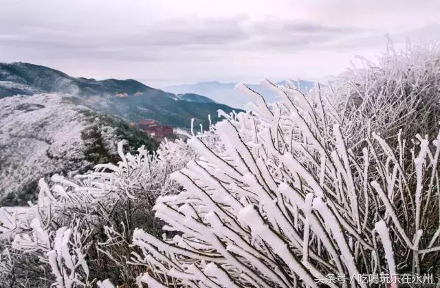 好看的美景推荐第一名,美丽的阳明山处处是美景