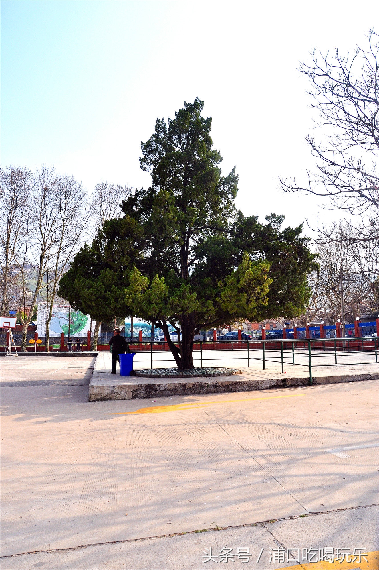 冶山矿业风情小镇,冶山风情小镇最新规划