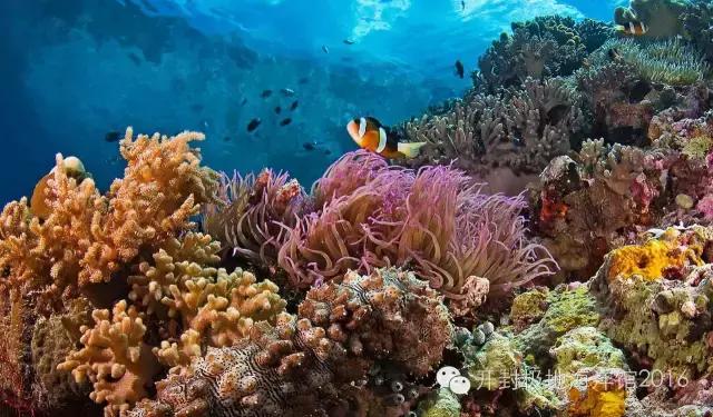 下雨适合去极地海洋世界玩吗,下雨天极地海洋世界