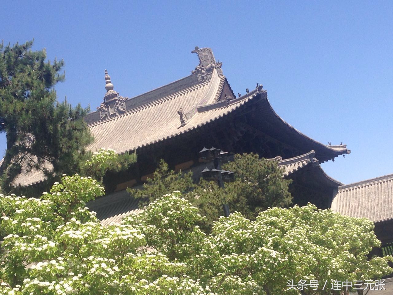 大同大学专升本怎么升,大同大学专升本怎么报名