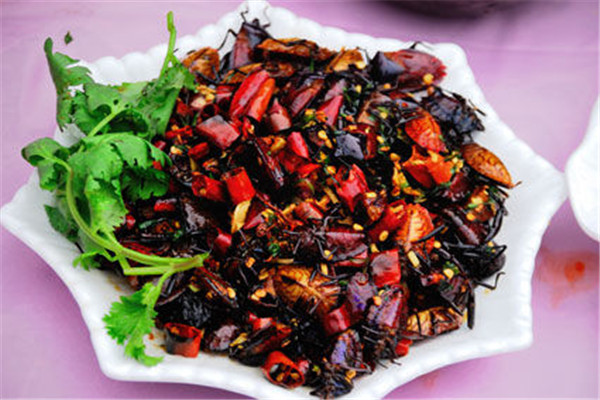 有钱人吃鹿茸的好处,有钱人吃鹿茸好处