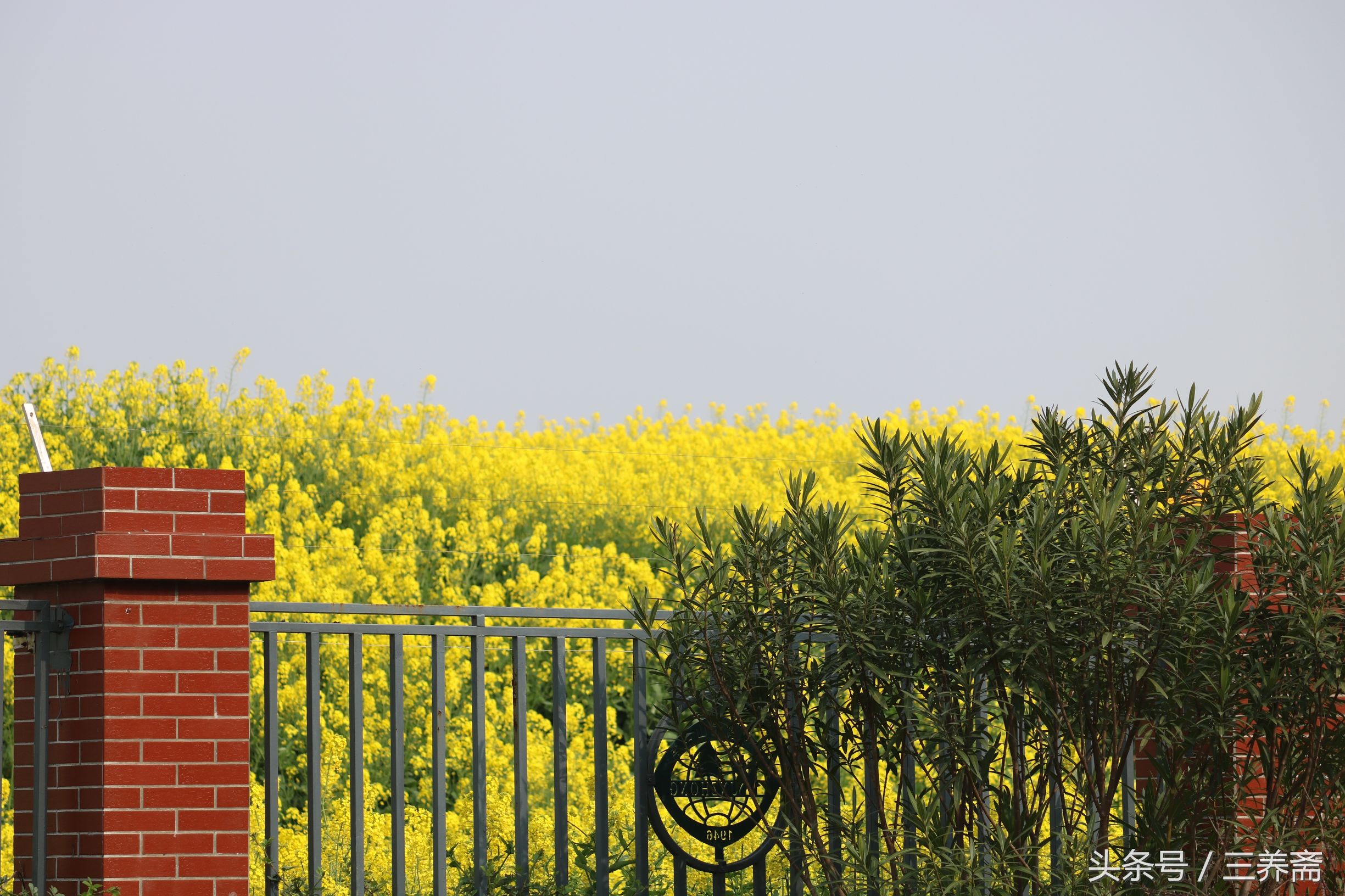 鏄嗗北涓鏍″洯椋庢櫙,鏄嗗北涓鏍″洯鏅壊