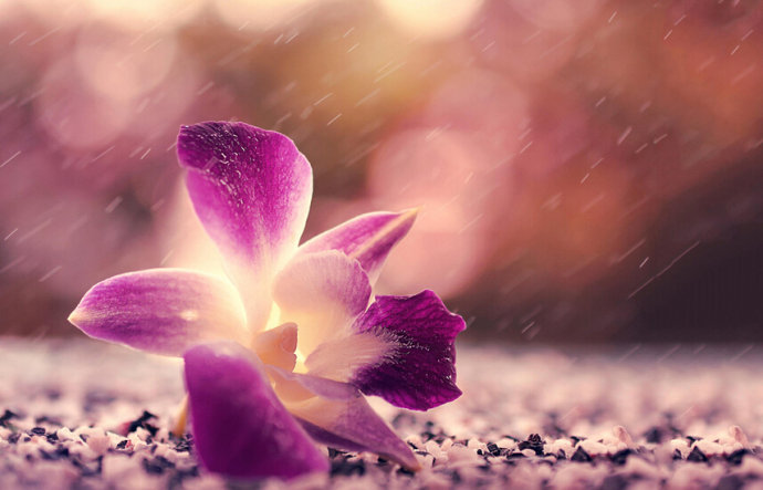 表达对死者的哀思清明节做什么,清明寄托哀思表达方式