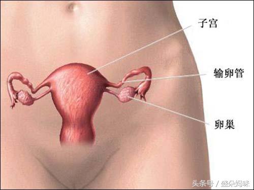 当医生告诉我“不能生”的那一刻