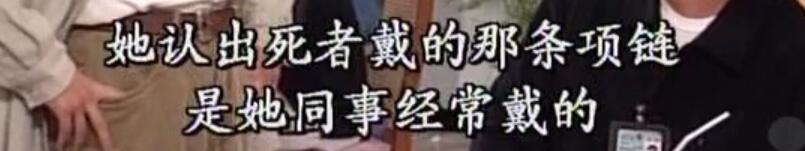 刑事侦缉档案袁天丽马成昌第五集,刑事侦缉档案袁天丽