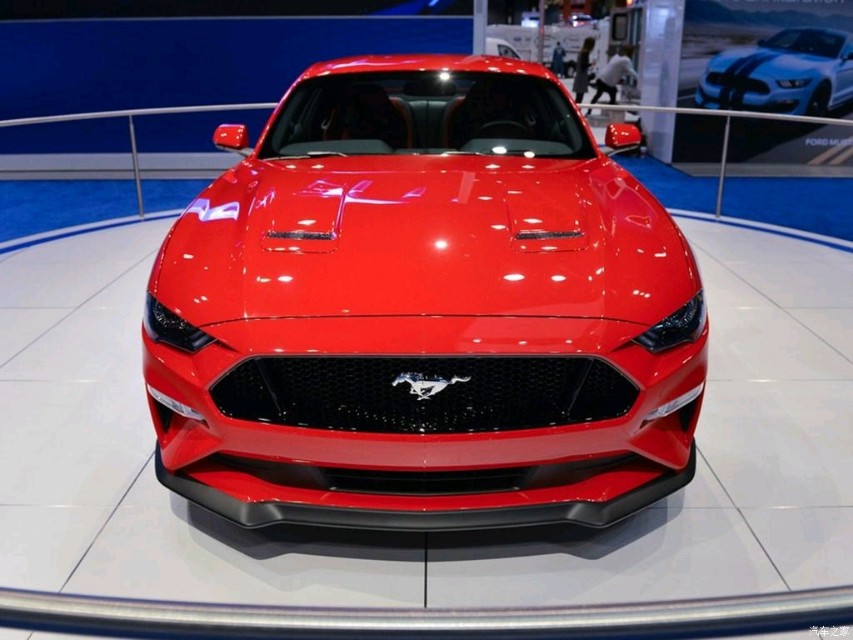 为什么福特野马不能叫野马,福特野马到底如何