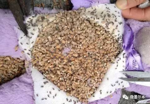 国内假冒进口奶粉曝光,查获的假奶粉