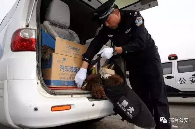 警察10秒勇擒逃犯,警察10秒钟擒获毒贩